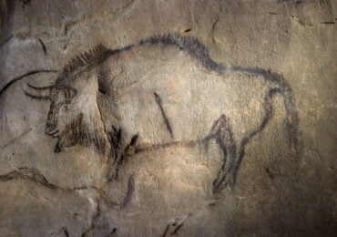 Bison visible dans le salon noir de la grotte de Niaux © EDemoulin Sesta-2005